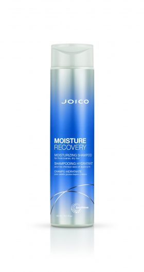 Joico Moisture Recovery Shampoo 300 mL